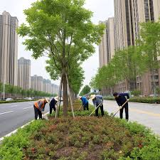 贝博艾佛森 平顶山市政绿化工程招标资质要求